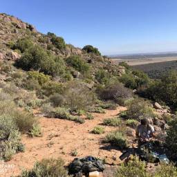 Setting up camera traps